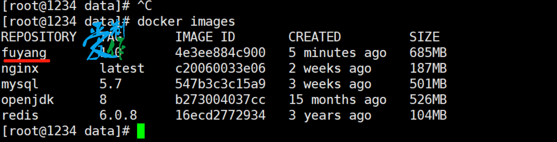 java程序使用docker部署步骤-第8张图片-爱制作博客