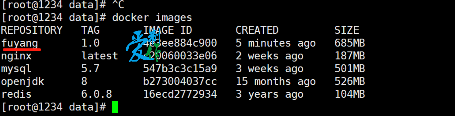 java程序使用docker部署步骤-第9张图片-爱制作博客
