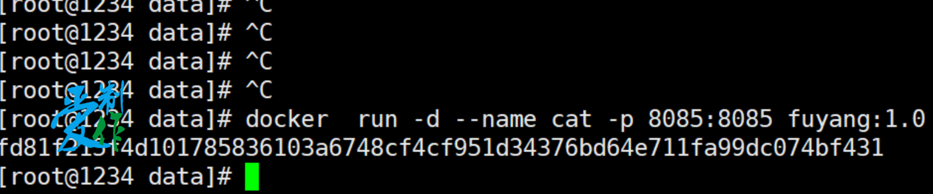 java程序使用docker部署步骤-第10张图片-爱制作博客