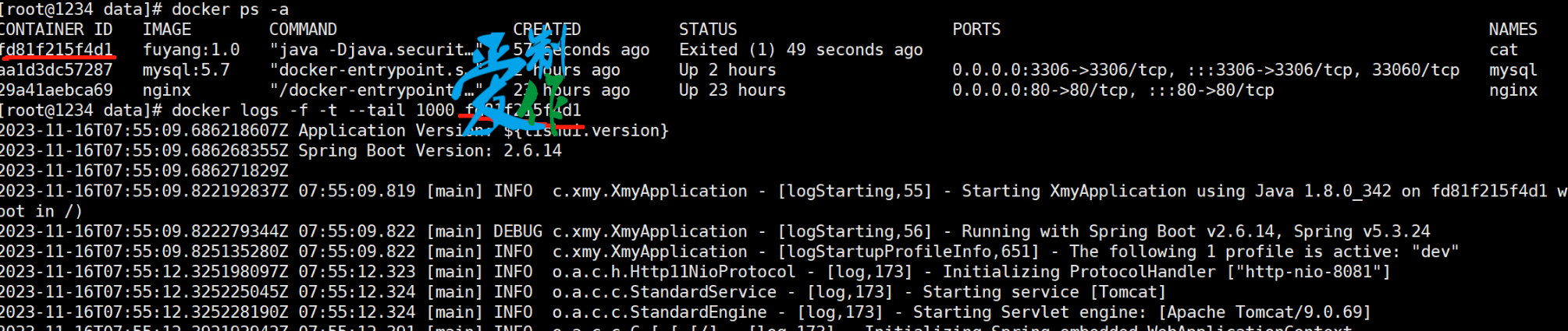 java程序使用docker部署步骤-第12张图片-爱制作博客