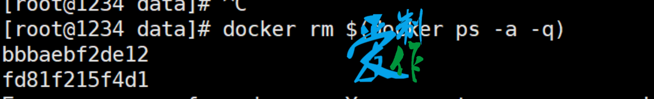 java程序使用docker部署步骤-第14张图片-爱制作博客