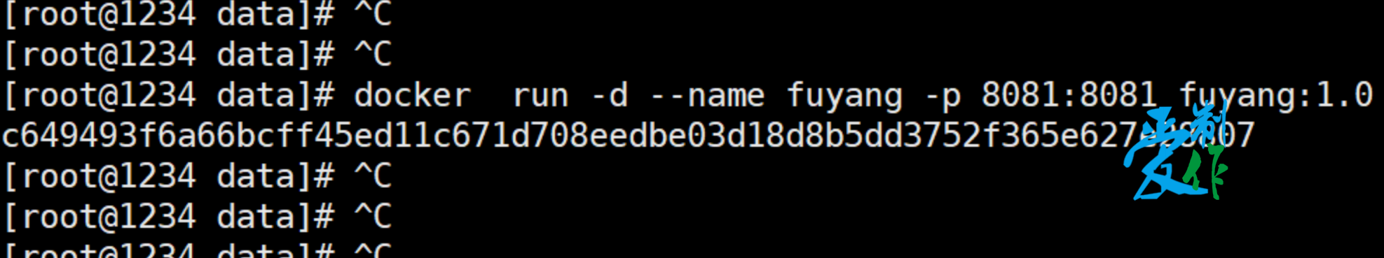 java程序使用docker部署步骤-第16张图片-爱制作博客