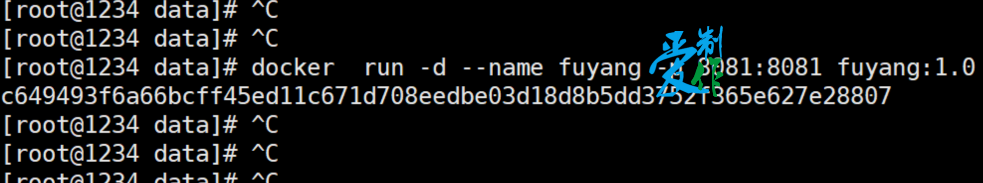 java程序使用docker部署步骤-第15张图片-爱制作博客