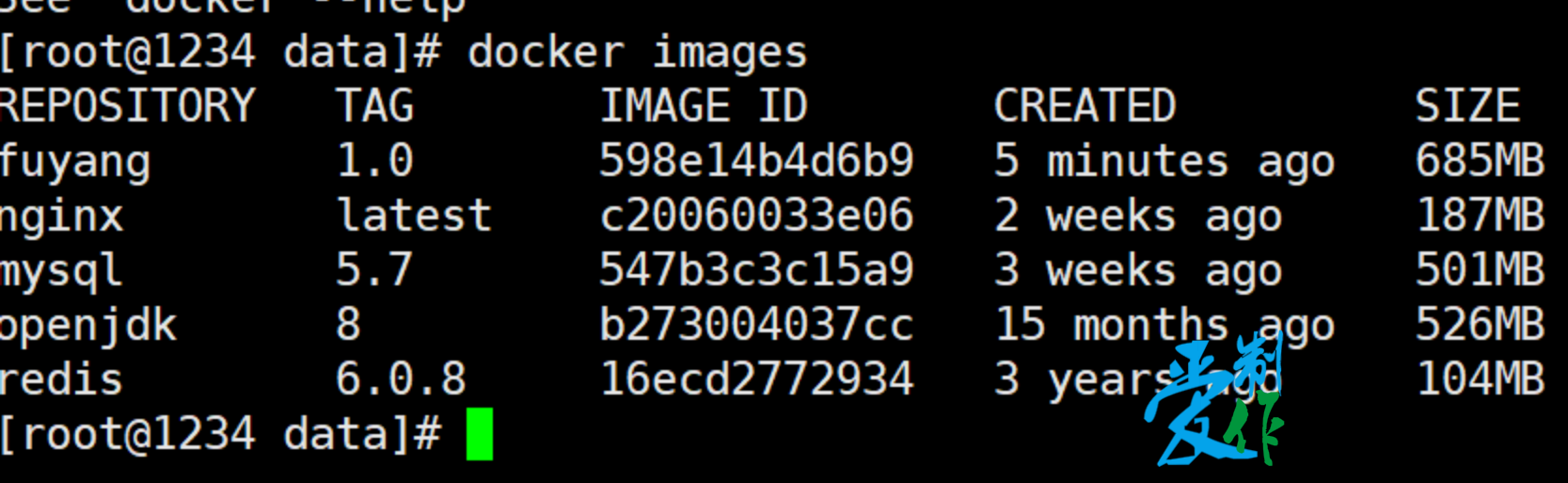 java程序使用docker部署步骤-第23张图片-爱制作博客