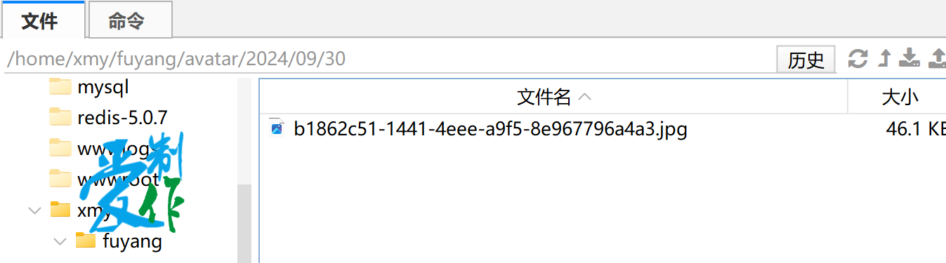 直接通过nginx访问服务器图片-第2张图片-爱制作博客